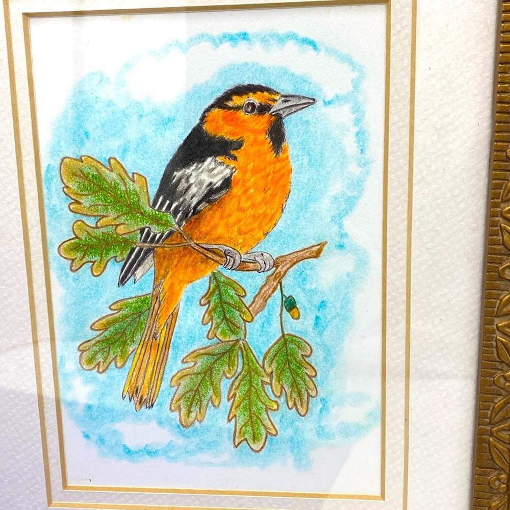 Artist Piece. Colored Pencil Drawing Of Blackburnian Warbler